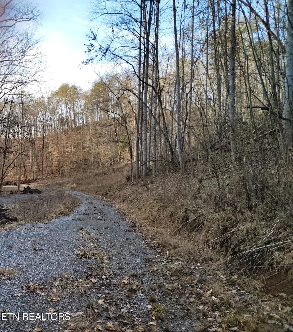 Photo of 907 Sharp Rd, Sevierville, TN 37876 (MLS # 1332489)