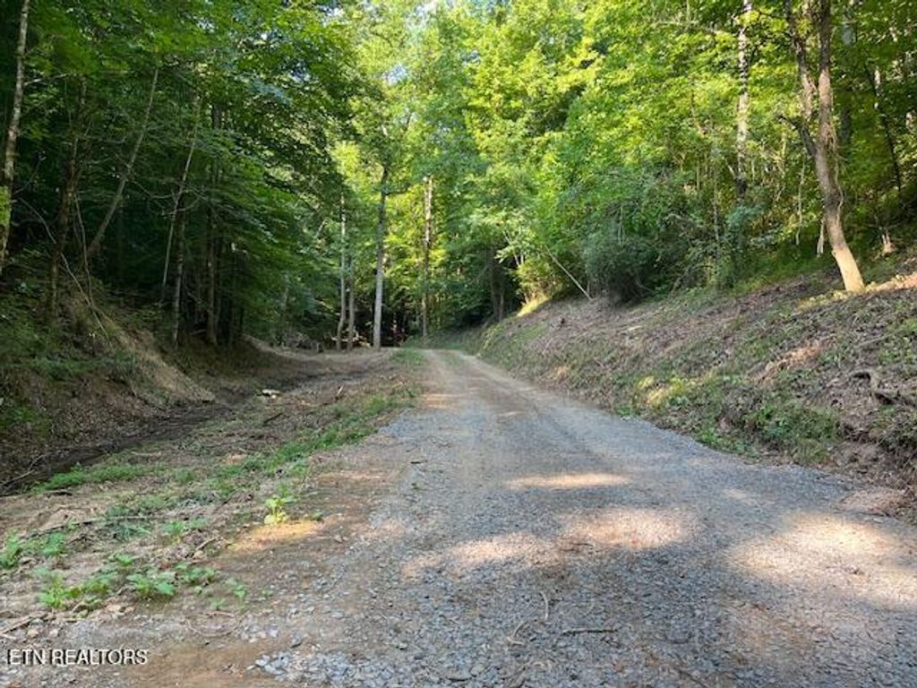 Photo of 907 Sharp Rd, Sevierville, TN 37876 (MLS # 1332489)