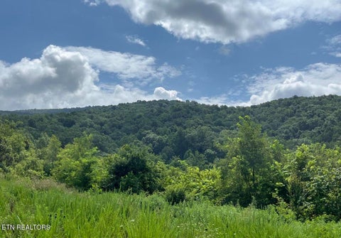 Photo of 442 Billingsley Rd, Dunlap, TN 37327 (MLS # 1359318)