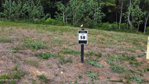 Tiny photo for 149 Lake Life Way, Loudon, TN 37774 (MLS # 1354962)