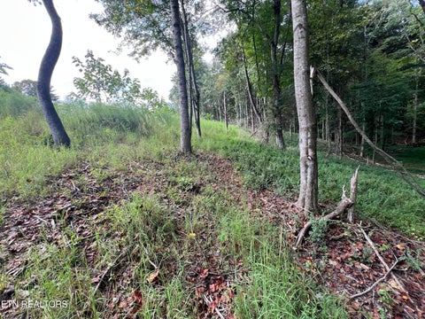 Tiny photo for 149 Lake Life Way, Loudon, TN 37774 (MLS # 1354962)