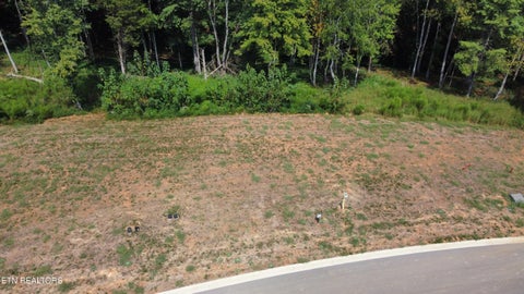 Tiny photo for 149 Lake Life Way, Loudon, TN 37774 (MLS # 1354962)