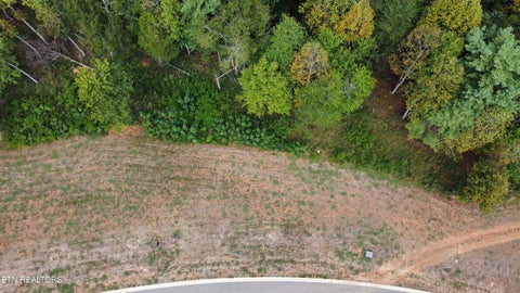 Tiny photo for 149 Lake Life Way, Loudon, TN 37774 (MLS # 1354962)