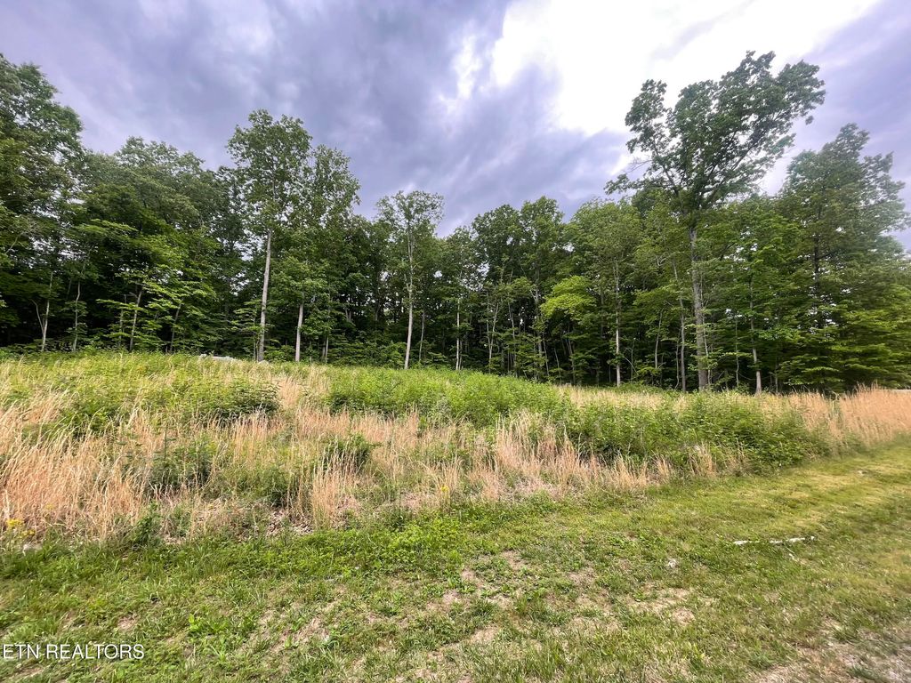 Photo of Willow Ridge Drive, Crossville, TN 38571 (MLS # 1341618)