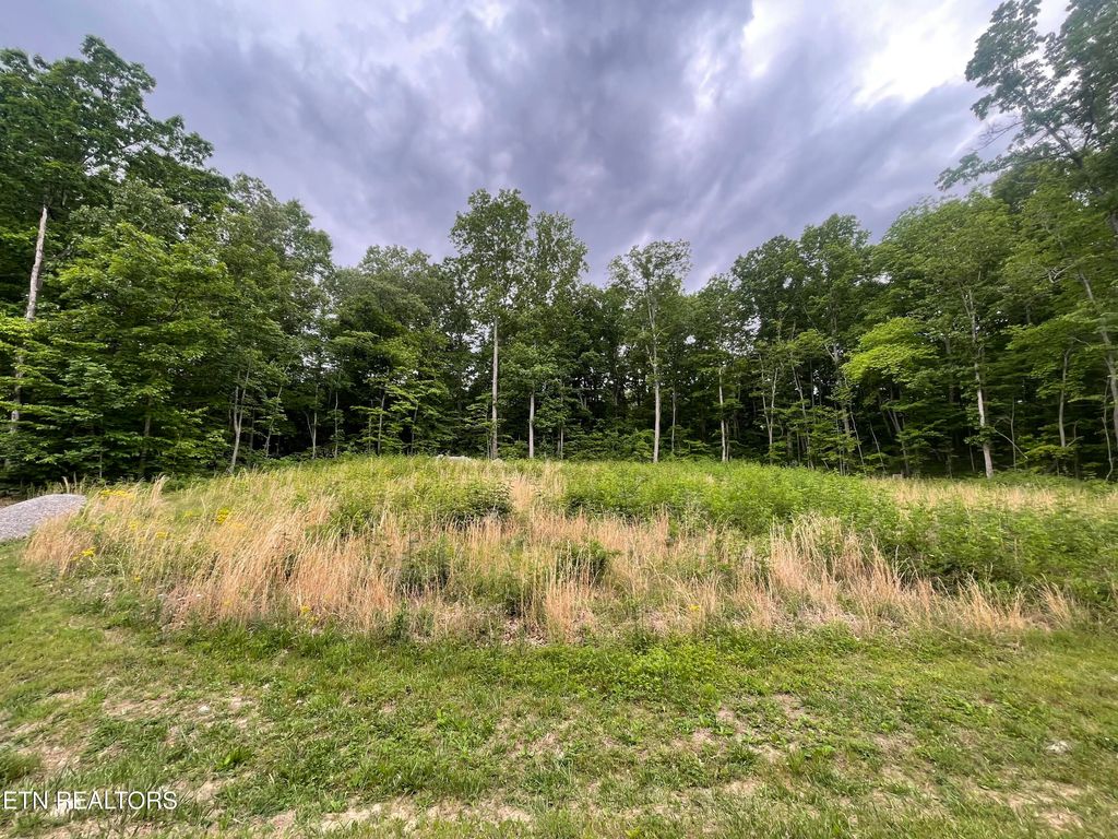 Photo of Willow Ridge Drive, Crossville, TN 38571 (MLS # 1341618)