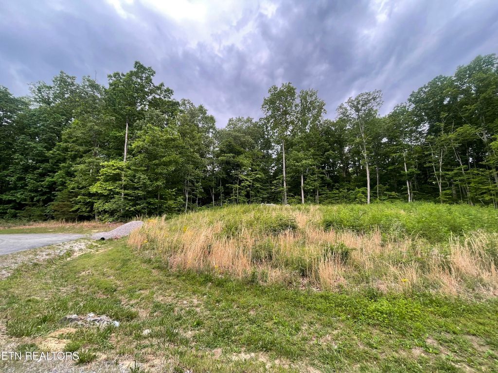Photo of Willow Ridge Drive, Crossville, TN 38571 (MLS # 1341618)