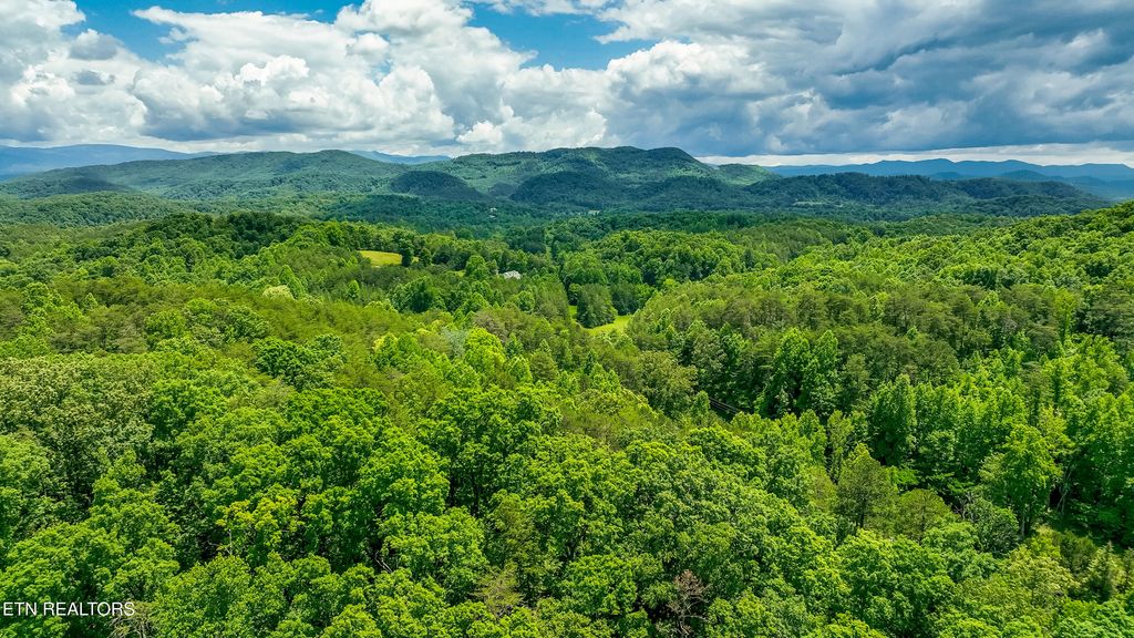 Photo of 3011 Ballplay Rd, Madisonville, TN 37354 (MLS # 1318365)