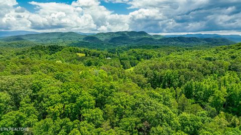 Photo of 3011 Ballplay Rd, Madisonville, TN 37354 (MLS # 1318365)