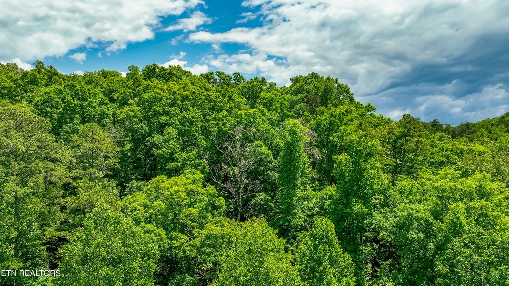 Photo of 3011 Ballplay Rd, Madisonville, TN 37354 (MLS # 1318365)