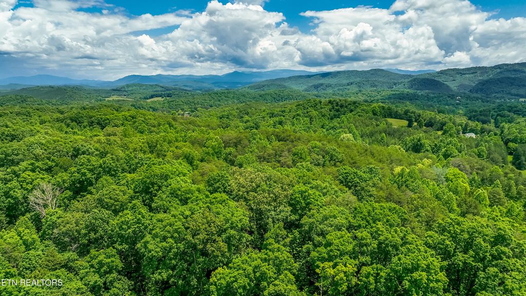 Photo of 3011 Ballplay Rd, Madisonville, TN 37354 (MLS # 1318365)