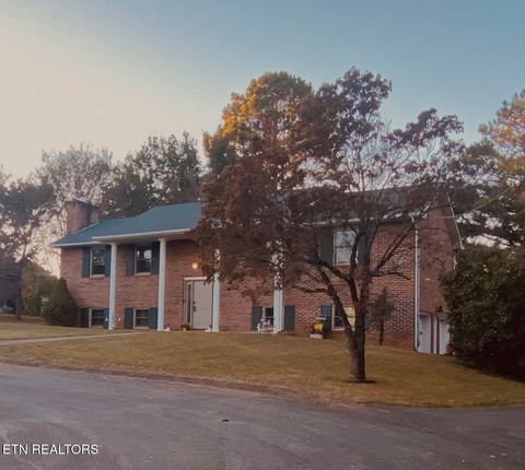 Photo of 315 James Drive, Lenoir City, TN 37772 (MLS # 1318947)
