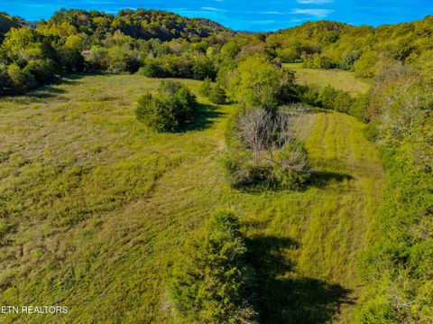 Tiny photo for 792 RH Ellis Rd, Dandridge, TN 37725 (MLS # 1317143)