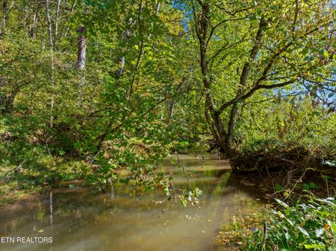 Tiny photo for 792 RH Ellis Rd, Dandridge, TN 37725 (MLS # 1317143)