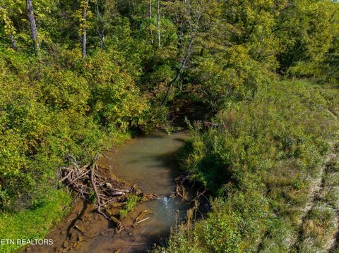 Tiny photo for 792 RH Ellis Rd, Dandridge, TN 37725 (MLS # 1317143)