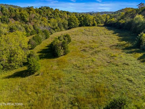Tiny photo for 792 RH Ellis Rd, Dandridge, TN 37725 (MLS # 1317143)