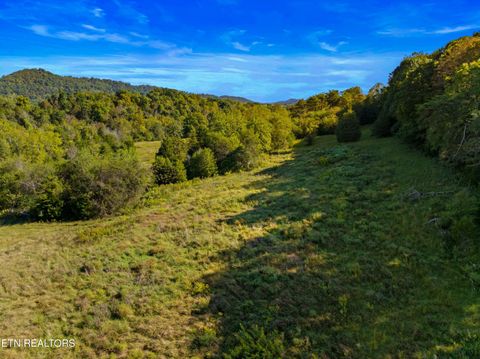 Tiny photo for 792 RH Ellis Rd, Dandridge, TN 37725 (MLS # 1317143)