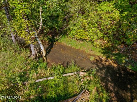 Tiny photo for 792 RH Ellis Rd, Dandridge, TN 37725 (MLS # 1317143)