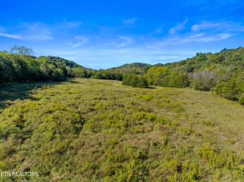 Tiny photo for 792 RH Ellis Rd, Dandridge, TN 37725 (MLS # 1317143)