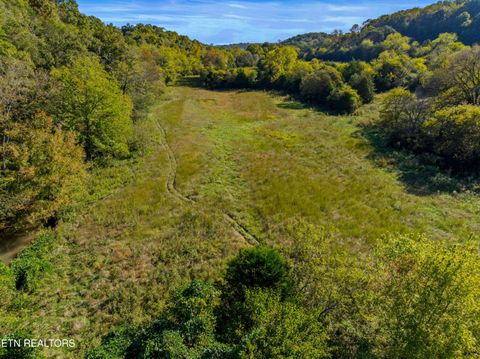 Tiny photo for 792 RH Ellis Rd, Dandridge, TN 37725 (MLS # 1317143)