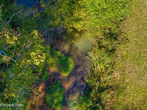 Tiny photo for 792 RH Ellis Rd, Dandridge, TN 37725 (MLS # 1317143)
