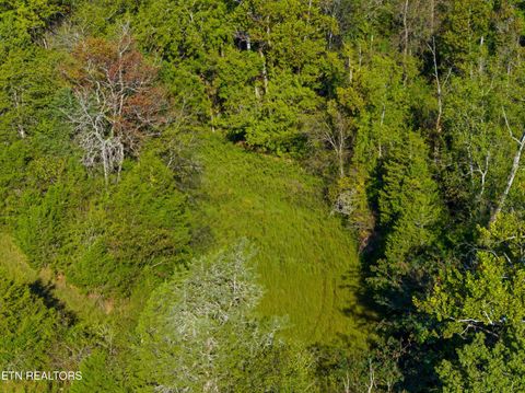 Tiny photo for 792 RH Ellis Rd, Dandridge, TN 37725 (MLS # 1317143)
