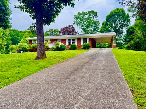 Photo of 432 Mahogany St, Spring City, TN 37381 (MLS # 1343130)