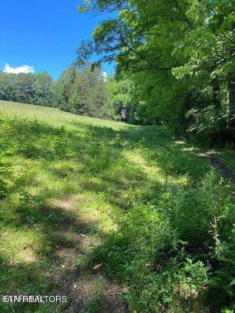 Lot 4 Chapman Rd LaFollette TN 37766
