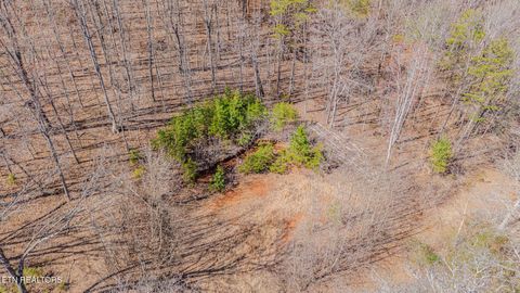 Tiny photo for 236 Branham Lane, Ten Mile, TN 37880 (MLS # 1319373)