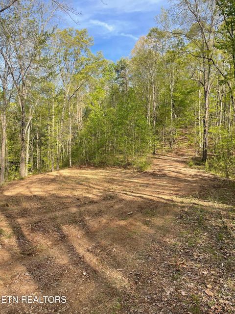 Tiny photo for 236 Branham Lane, Ten Mile, TN 37880 (MLS # 1319373)