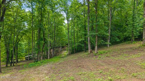 Tiny photo for 236 Branham Lane, Ten Mile, TN 37880 (MLS # 1319373)