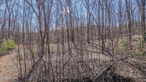 Tiny photo for 236 Branham Lane, Ten Mile, TN 37880 (MLS # 1319373)