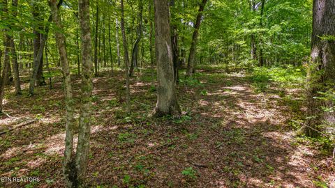 Tiny photo for 236 Branham Lane, Ten Mile, TN 37880 (MLS # 1319373)