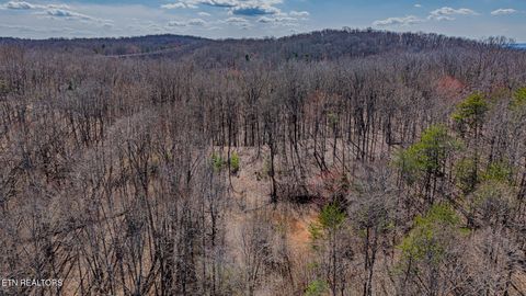 Tiny photo for 236 Branham Lane, Ten Mile, TN 37880 (MLS # 1319373)