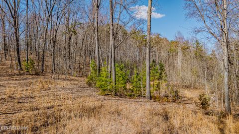 Tiny photo for 236 Branham Lane, Ten Mile, TN 37880 (MLS # 1319373)