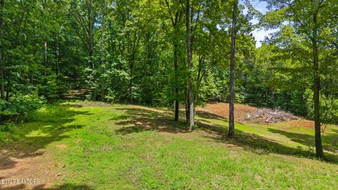 Tiny photo for 236 Branham Lane, Ten Mile, TN 37880 (MLS # 1319373)