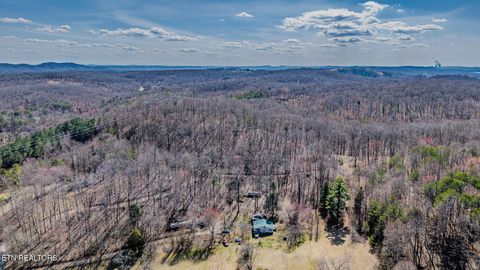 Tiny photo for 236 Branham Lane, Ten Mile, TN 37880 (MLS # 1319373)
