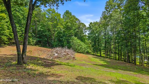 Tiny photo for 236 Branham Lane, Ten Mile, TN 37880 (MLS # 1319373)