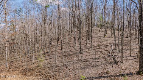 Tiny photo for 236 Branham Lane, Ten Mile, TN 37880 (MLS # 1319373)