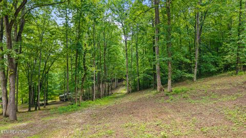 Tiny photo for 236 Branham Lane, Ten Mile, TN 37880 (MLS # 1319373)