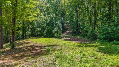 Tiny photo for 236 Branham Lane, Ten Mile, TN 37880 (MLS # 1319373)