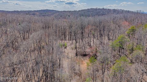 Tiny photo for 236 Branham Lane, Ten Mile, TN 37880 (MLS # 1319373)