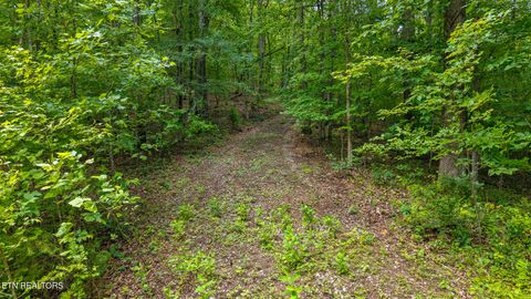 Tiny photo for 236 Branham Lane, Ten Mile, TN 37880 (MLS # 1319373)