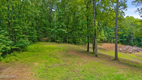Tiny photo for 236 Branham Lane, Ten Mile, TN 37880 (MLS # 1319373)