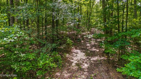 Tiny photo for 236 Branham Lane, Ten Mile, TN 37880 (MLS # 1319373)