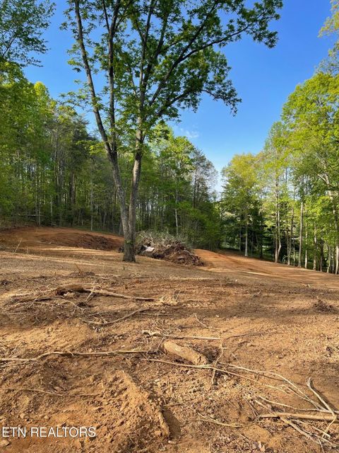 Tiny photo for 236 Branham Lane, Ten Mile, TN 37880 (MLS # 1319373)