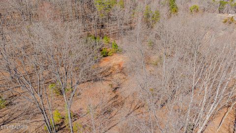 Tiny photo for 236 Branham Lane, Ten Mile, TN 37880 (MLS # 1319373)