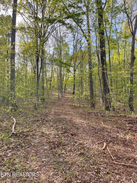 Photo of 236 Branham Lane, Ten Mile, TN 37880 (MLS # 1319373)