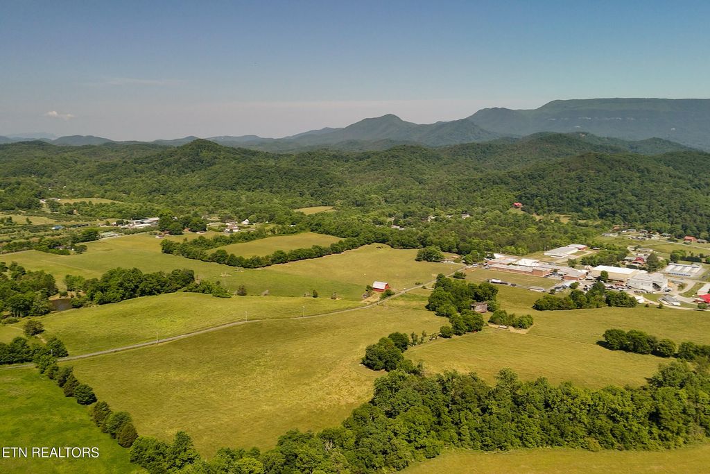 Photo of 3233 Stevia Way, Cosby, TN 37722 (MLS # 1342327)