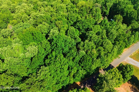 Tiny photo for 3233 Stevia Way, Cosby, TN 37722 (MLS # 1342327)