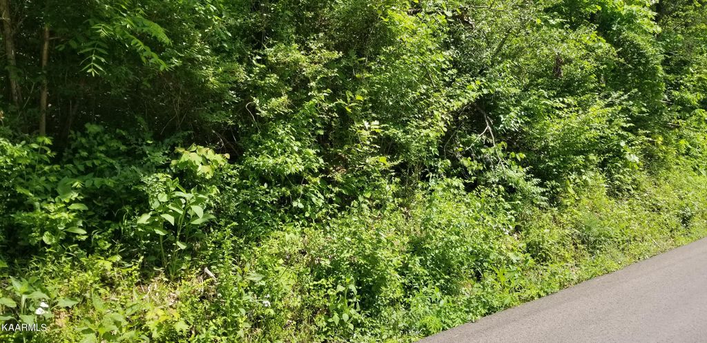 Photo of 932 McCubbins Rd, Strawberry Plains, TN 37871 (MLS # 1190147)